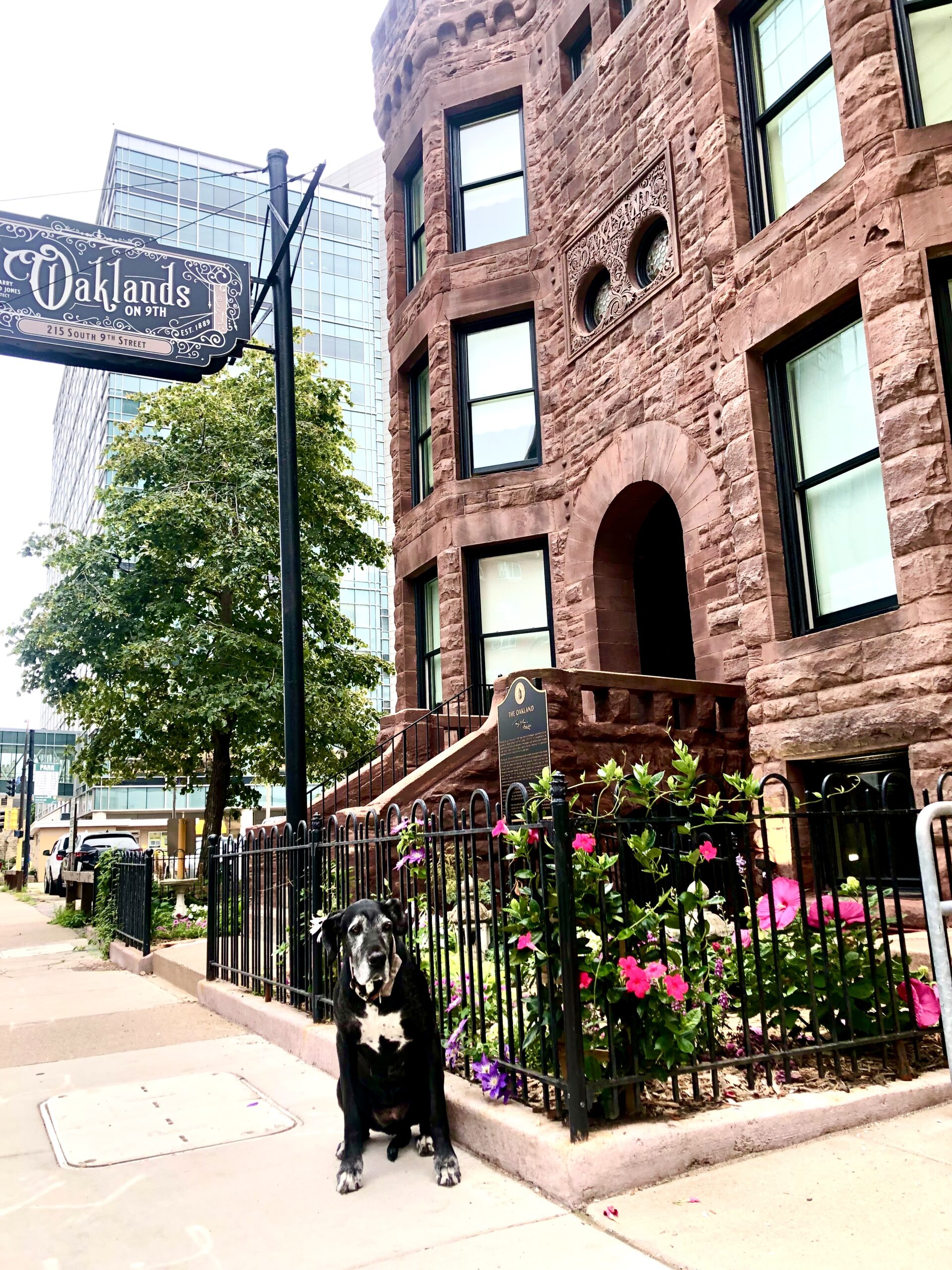 The brownstone front entrance of Oaklands on 9th with summer flowers and a street lamp on South 9th Street in downtown Minneapolis.