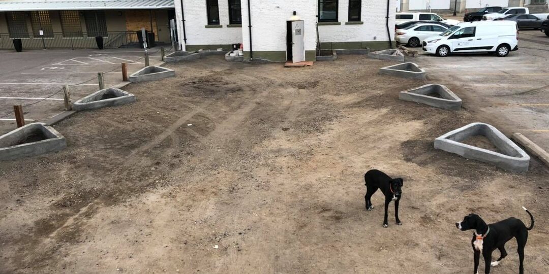 The guest parking lot directly behind Oaklands on 9th in downtown Minneapolis, with tree planters added during the 2019 restoration.